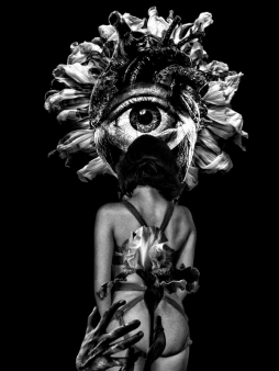 Inspiration 1